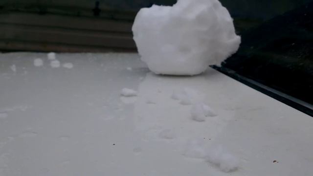 Снежок и снег.mp4