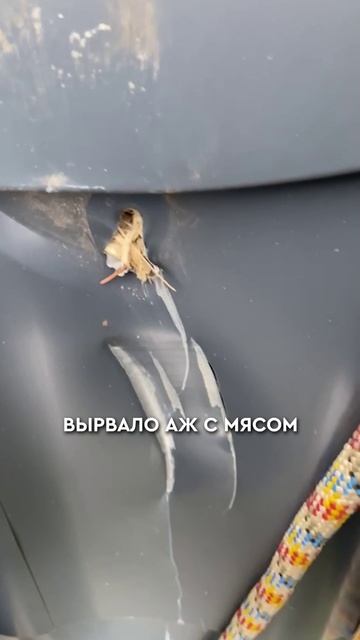 Крышу ВЫРВАЛО С МЯСОМ #строительство #кровля #снегозадержатели