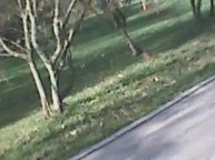 весенний УЛИЧНЫЙ БЛОГ №1377 ТОПОРИКИ ВЕЛИКАЯ СУББОТА...