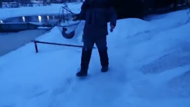 28.01.2021г. Форель Светлые Горы