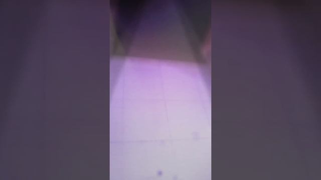 Снежок