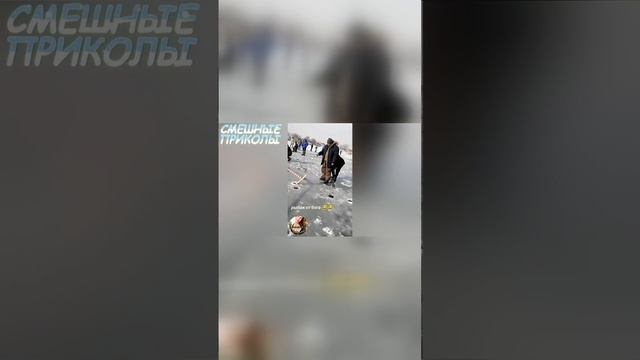 Разговоры друзей_ которые не оставят равнодушным!😹🙈🤭