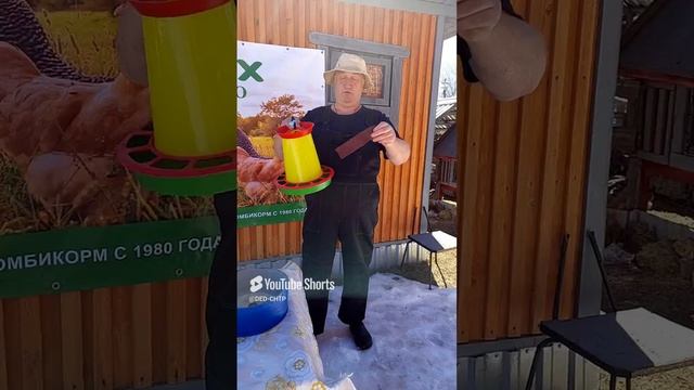 ДРЕВНИЙ СПОСОБ БОРЬБЫ С РАСКЛЁВОМ У КУР!!! 22.04.2025 год.