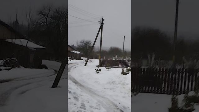В деревне снег и слякоть.05.02.24 г.