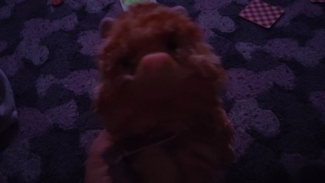 играем в плюшевого котенка