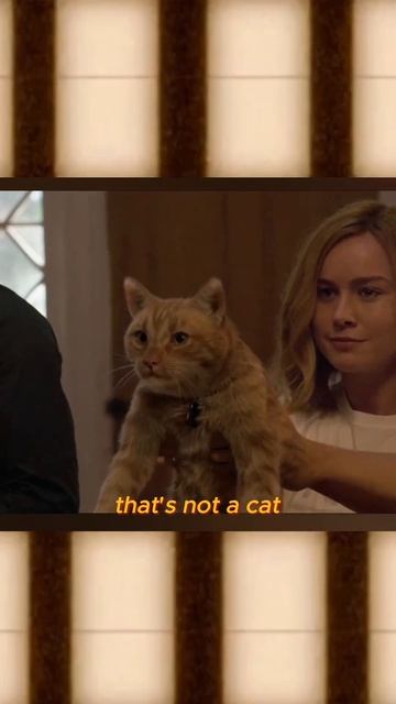That’s not a cat!that’s a Flerken #marvel #shorts #captainmarvel