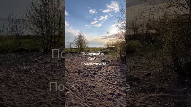 Пробуждение силы