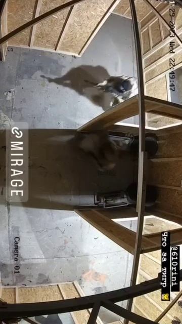 scene_output.mp4
