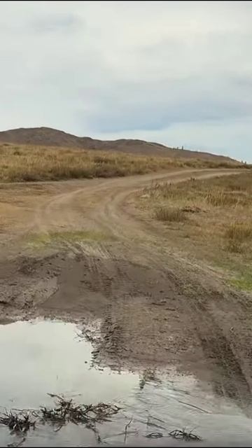 Горный Алтай