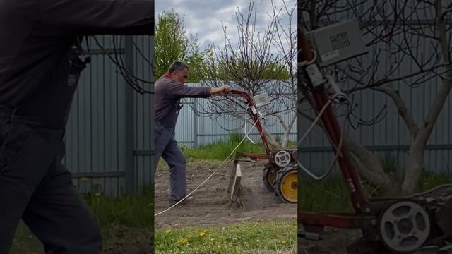 Расчистка участка от корней