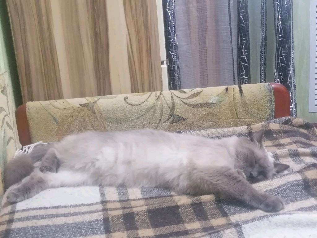 Мой первый стрим, играем в майнкрафт на новом сервере.