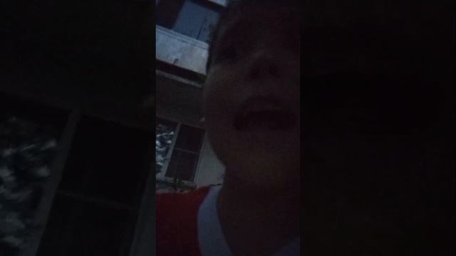 пупси анонимус