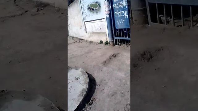 Название канал а Ильи , и вход на стадион