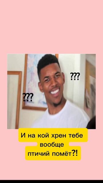Голубь