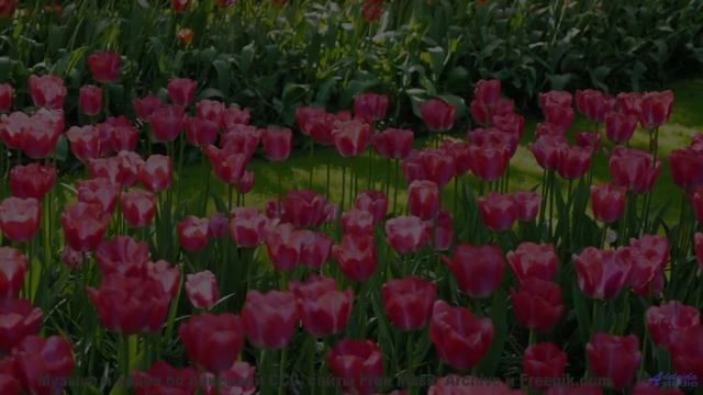 Музыка, которую стоит услышать хотя бы раз в жизни - Lets Skip To The Good Bit -- Duncan Reid and th