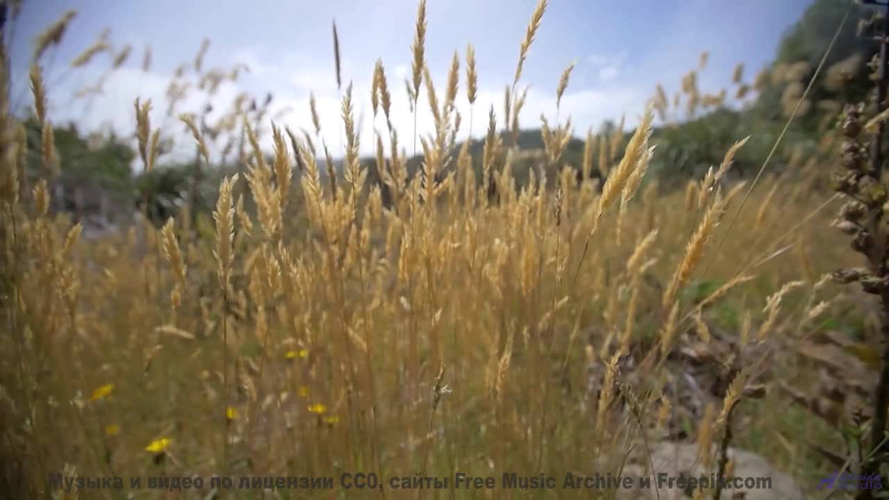 Видео, которое зарядит вас энергией на неделю вперед! - DGAF -- Kiggler -- Between The Lines