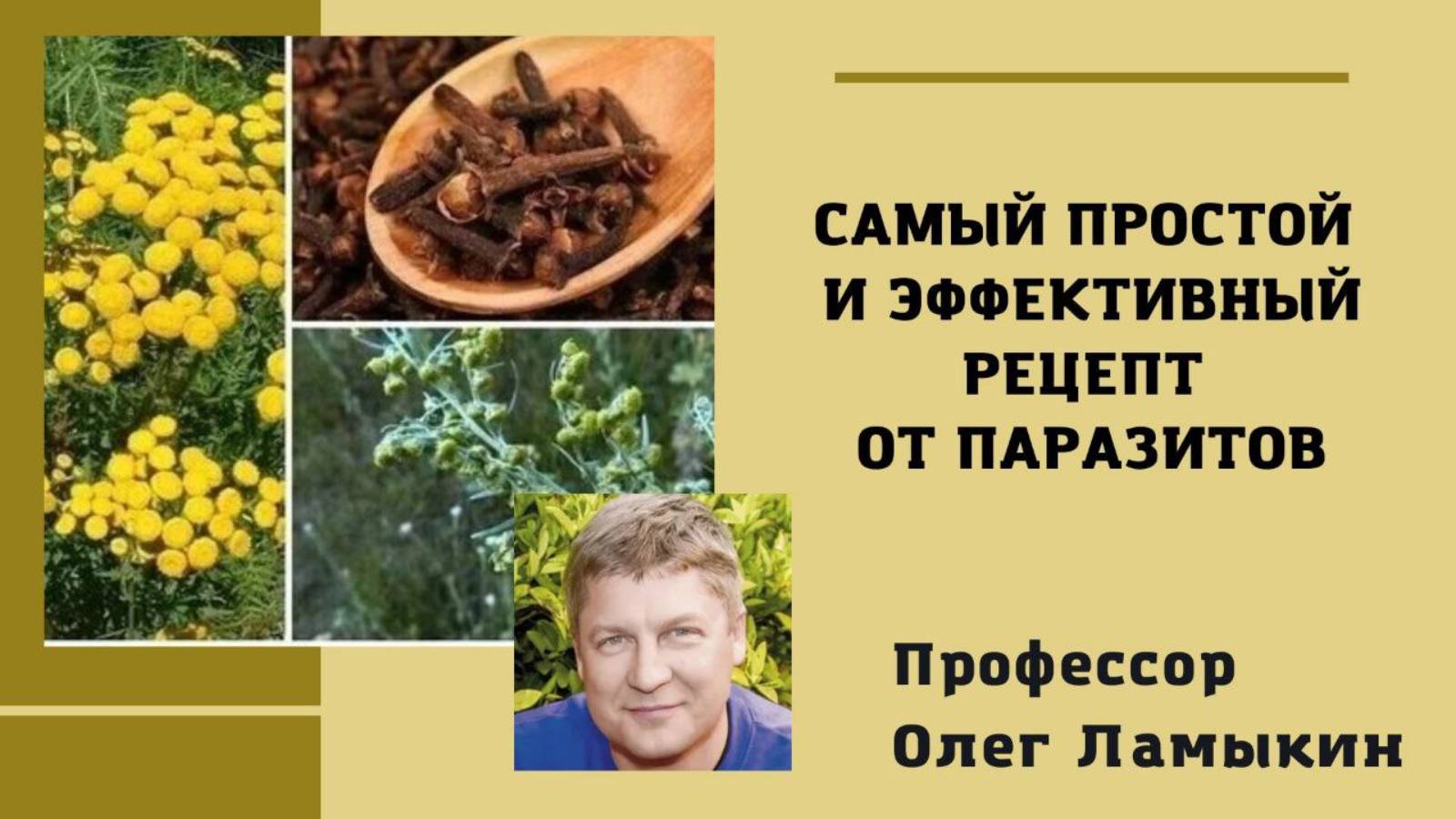 Эффективный и простой рецепт от паразитов. Проф. Ламыкин О.Д.