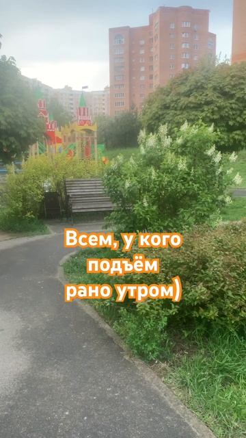 Жаворонки