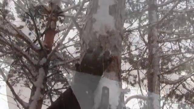 Мой юный город