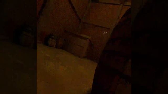 Встретил битбоксера в игре  Assasins creed nexus VR