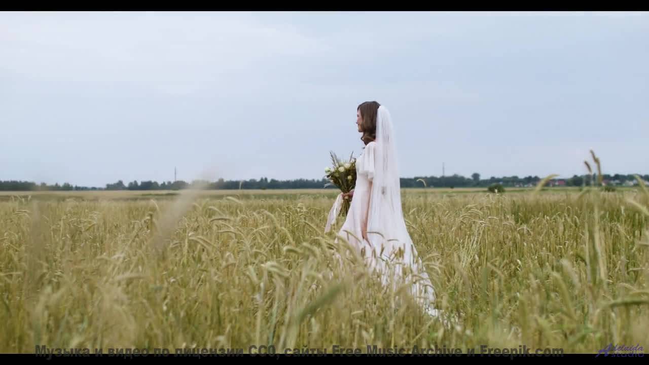 Музыка наполняет душу светом при каждом кадре - Gilded-Moon -- Ketsa -- The Calling