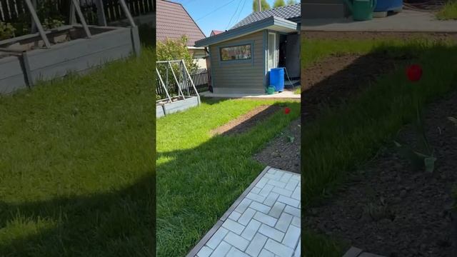 16-05-2025 Дачная жизнь продолжается