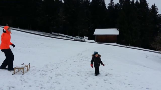 Заруба снежками