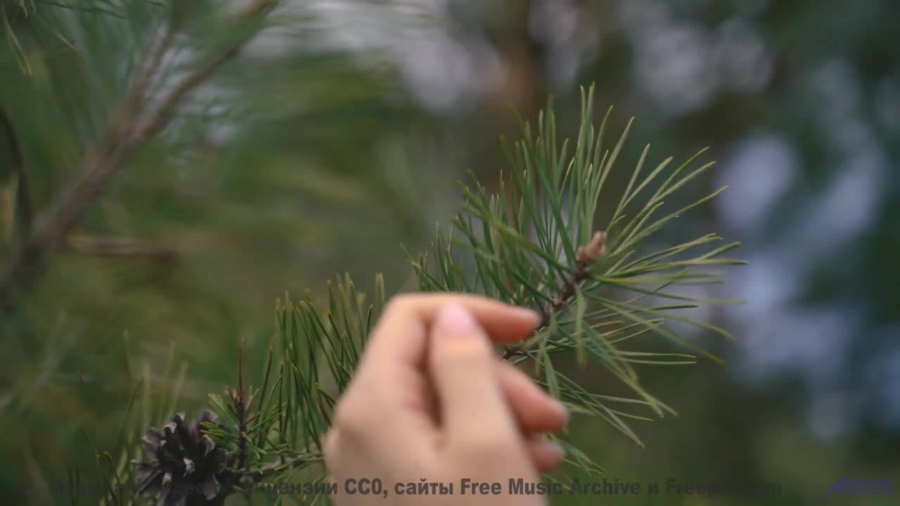 Что на самом деле происходит в этом видео Ответ вас шокирует! - Sacred Project -- Laetitia Sadier So