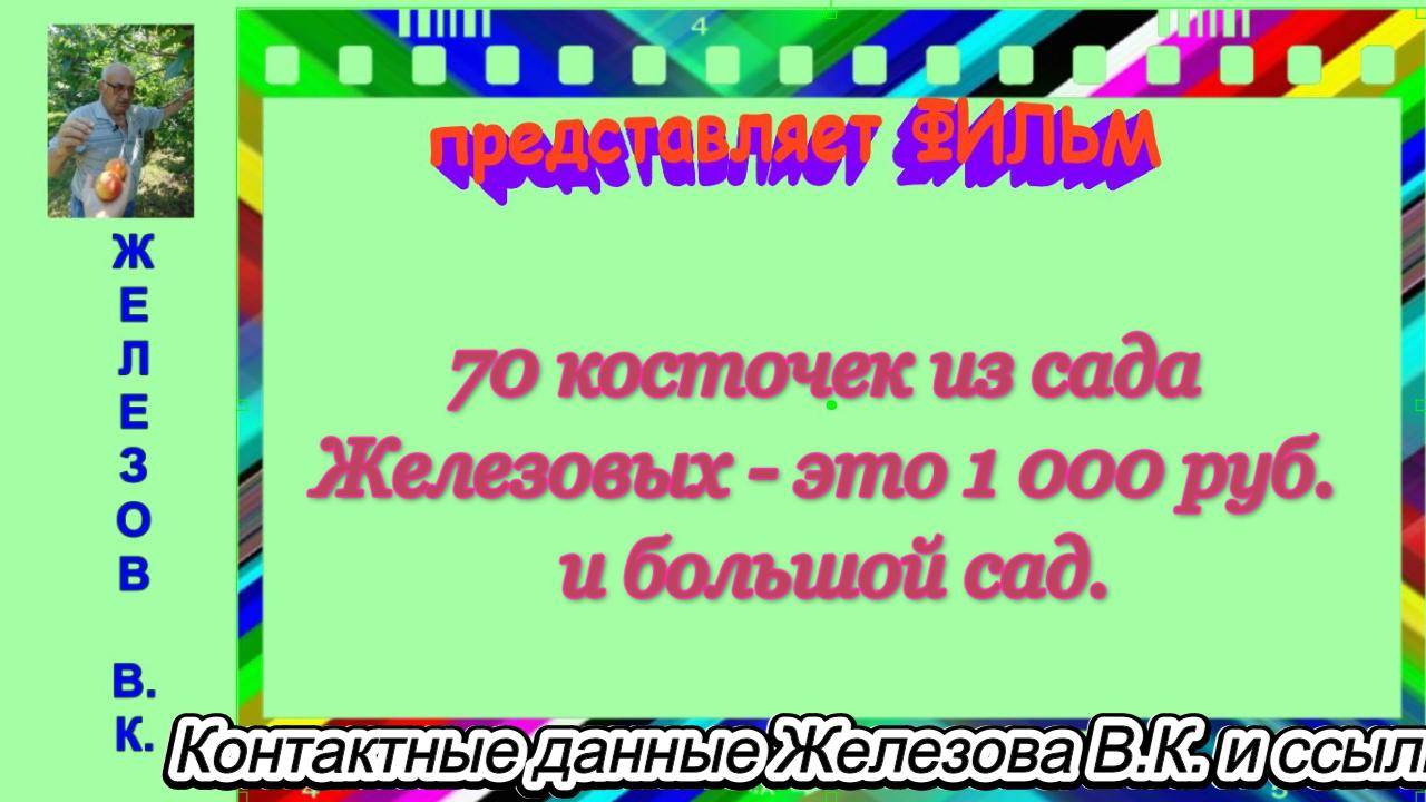 70 косточек из сада Железовых - это 1 000 руб. и большой сад.