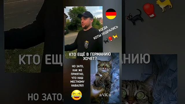 Печальная история из Германии