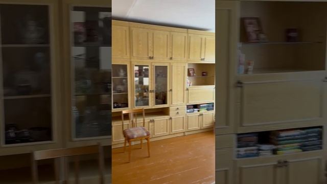 WhatsApp Video дружинина