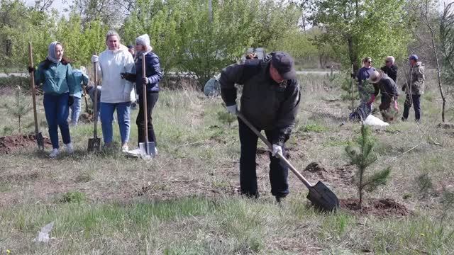 Юго-Западный район столицы Хакасии увеличивает "зелёные легкие"