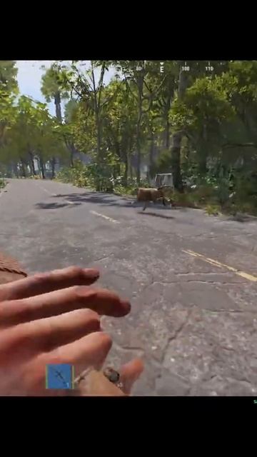 RUST ВСТРЕЧА С ТИГРОМ