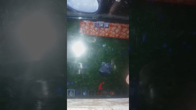 делаем хагу вагу Агу в майне