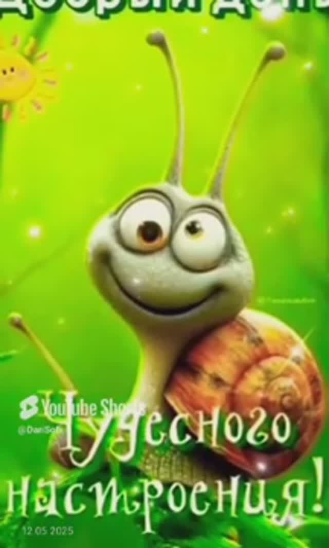 VID_20250512211525
