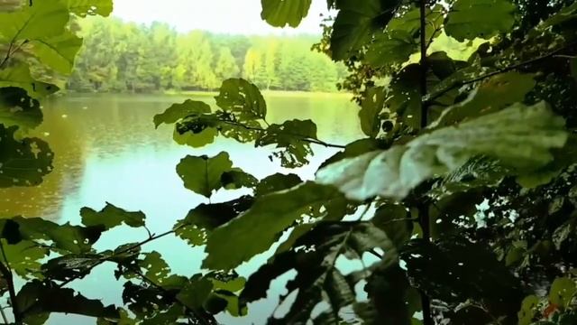 Островок любви под зонтом Island of love