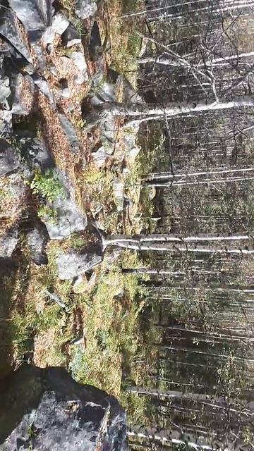 под скалой Висячий Камень