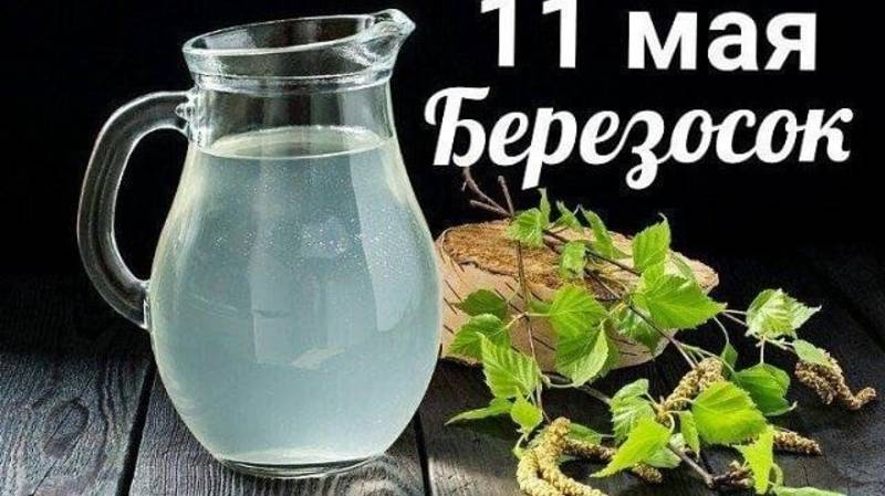 Берёзосок