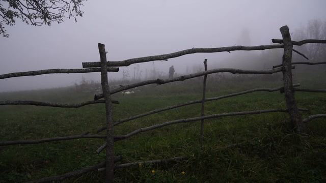 Kənd Həyatı.  Изумительные десерты без САХАРА и МУКИ с сухофруктами