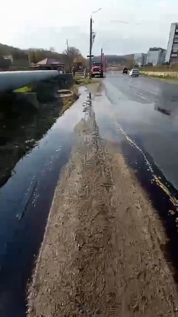 В Приморье 20тон растительного масла разлила фура 😉