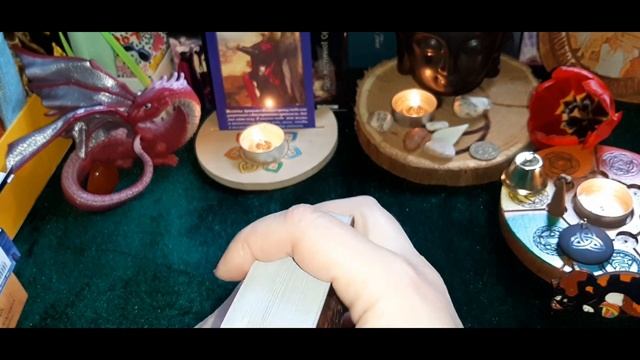🧚♀️Fairy tarot decks🌈Моя колекція фентезі колод таро з феями🧚♀️