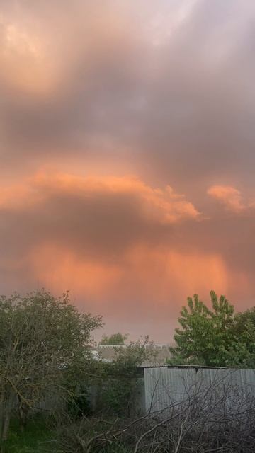 Русское лето