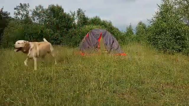 Tramp peak2 встановлення намету, гуркало