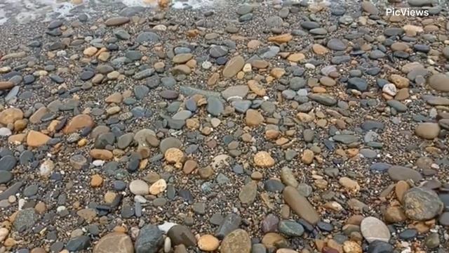 Сочи Адлер сегодня 16 мая 2025. Обстановка на пляже, какое море, какая погода