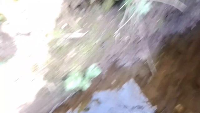 чернобль