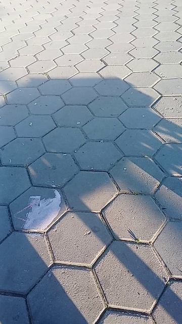 Жизнь