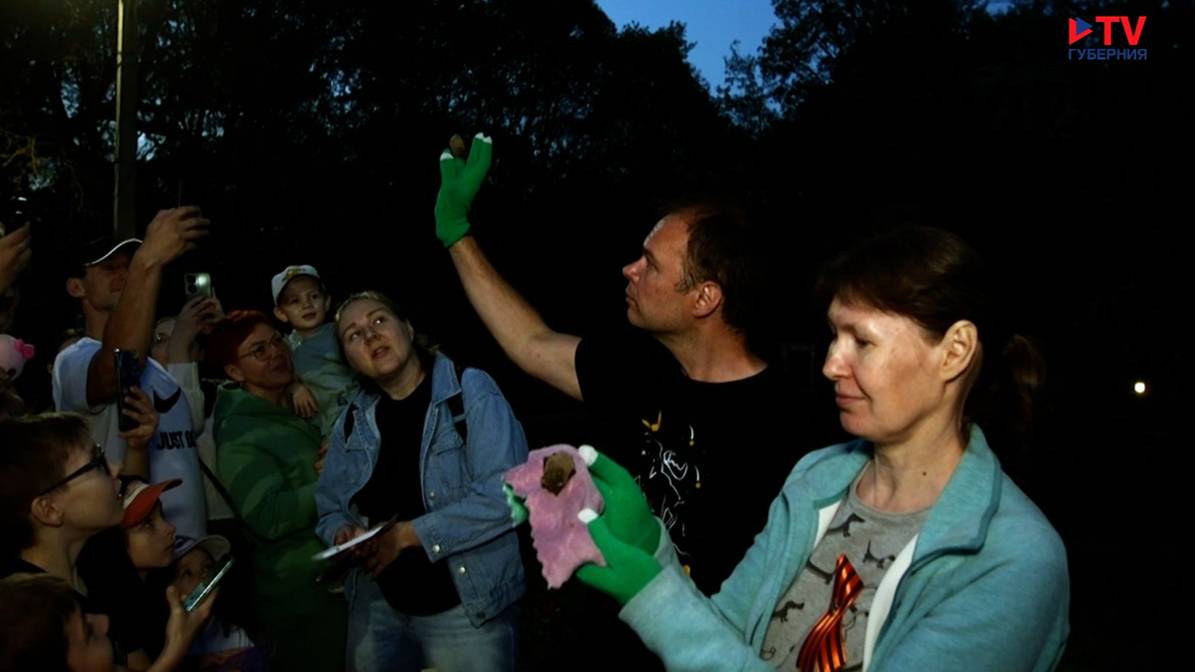 Летучие мыши, откормленные воронежскими волонтёрами, с трудом улетают в самостоятельную жизнь
