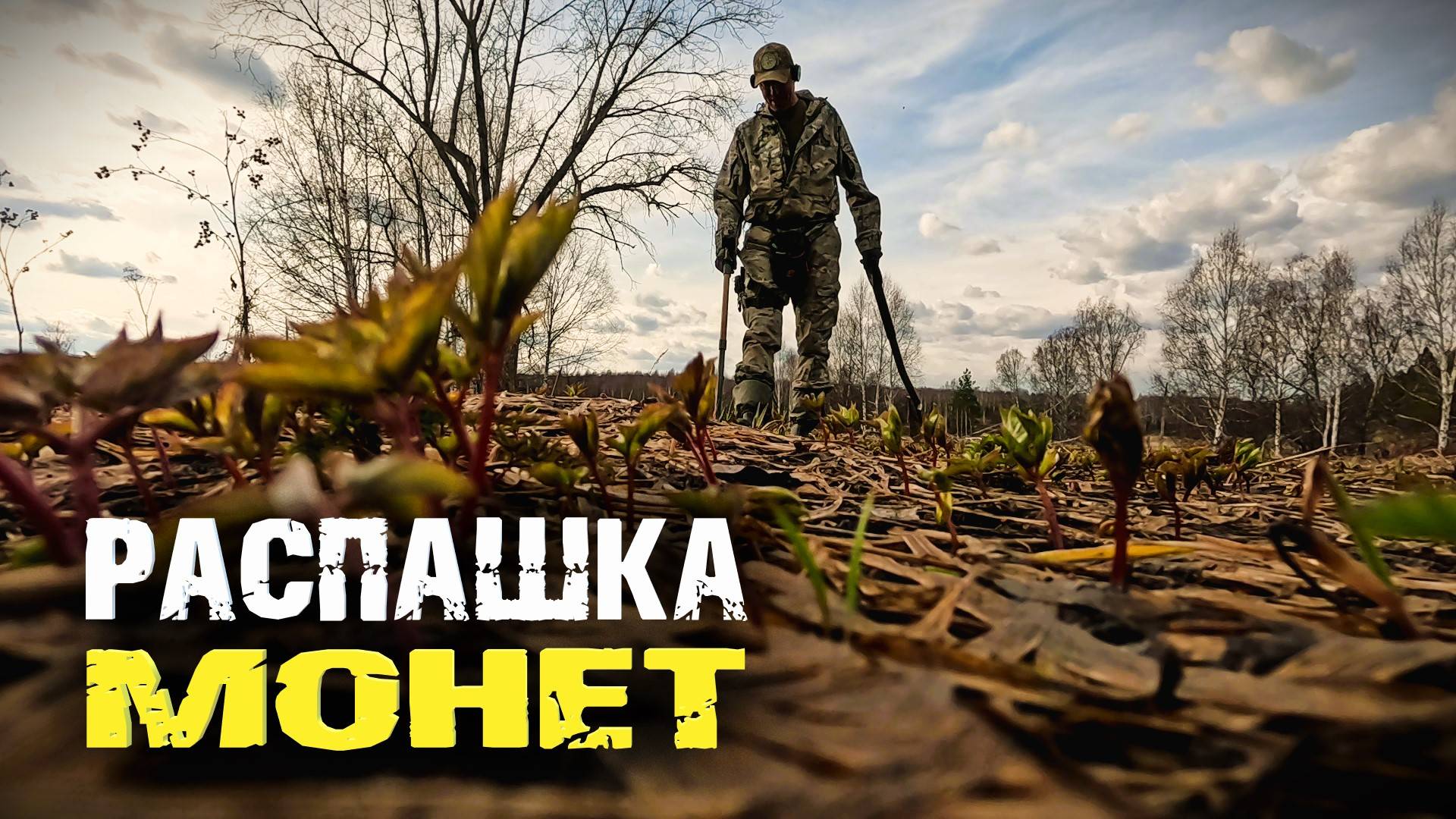 Кладовая распашка монет Николая второго