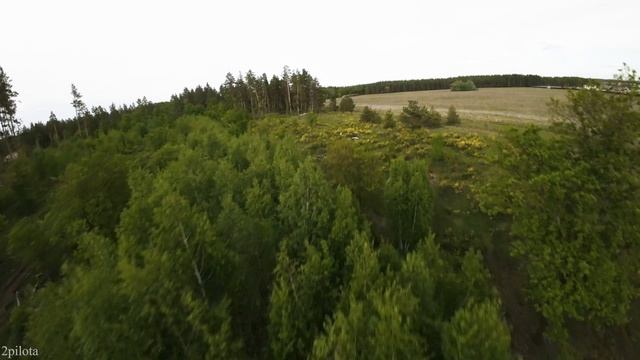 FPV съемка.Лес на закате.