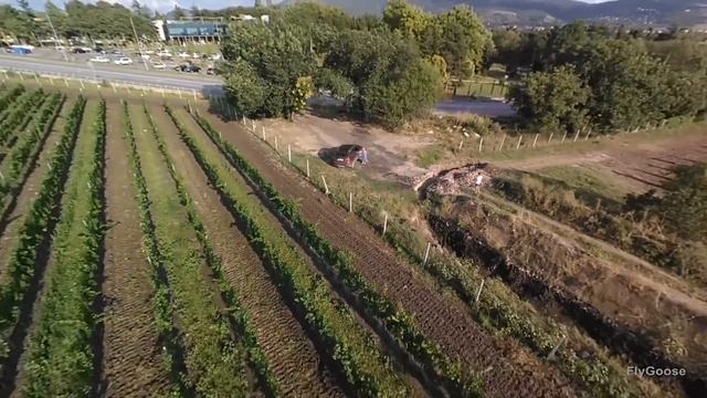 XIRO Mini - Золотая Балка - Балаклава - Крым